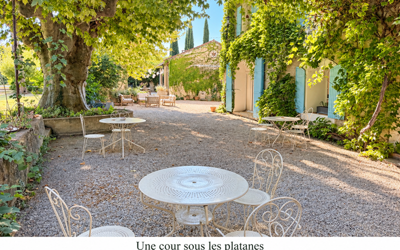 "l'ombre bienveillante des platanes, le charme des volets bleus et l'art de vivre du Mas"