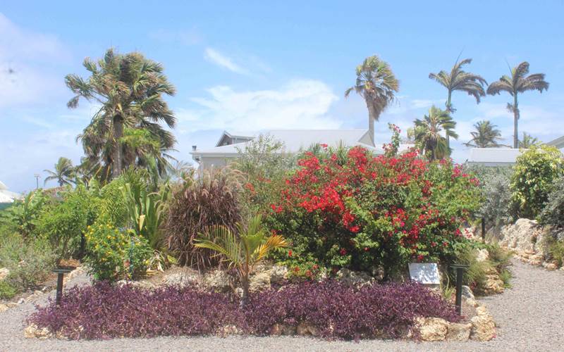 Iguane House villa & Micro Spa vue depuis le parking