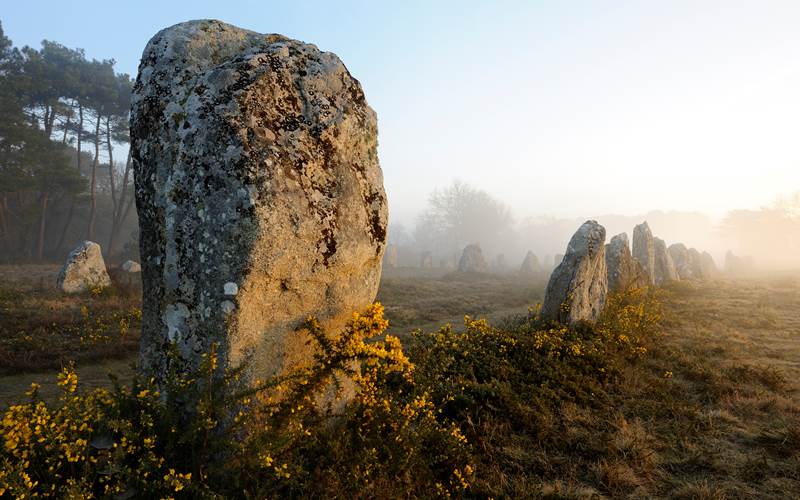 155158642-photo-around