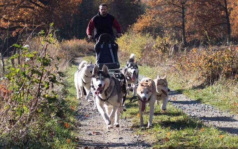 175006560_4-photo-around