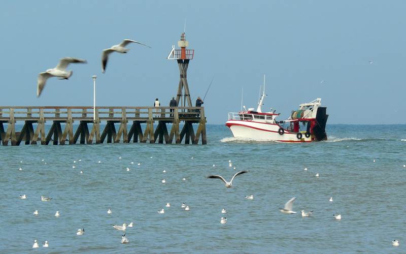 134130890-photo-around