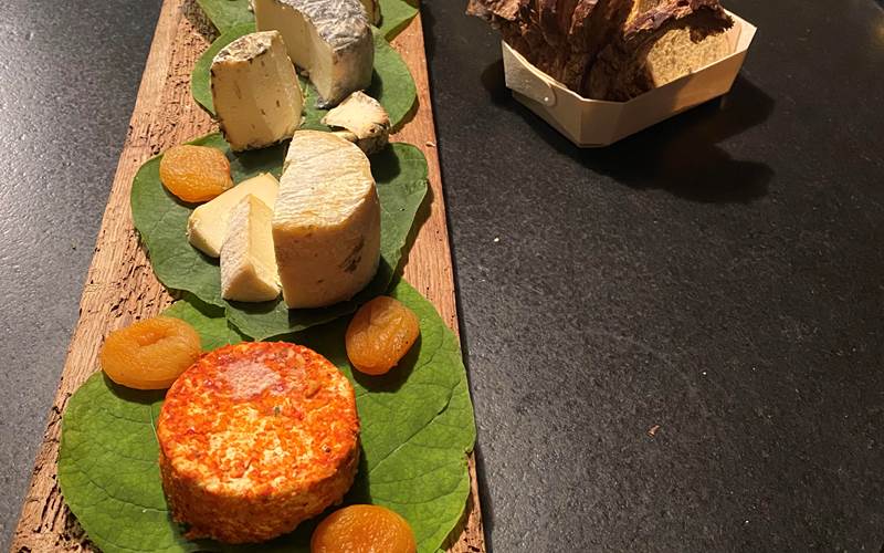 Dégustation de fromages avec vins de la région.