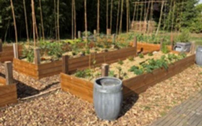 Potager B