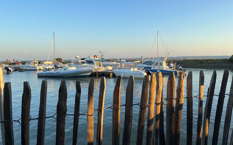 bassin-d-arcachon (18)