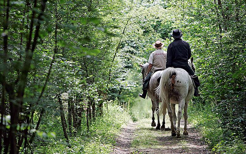 Ferme-de-la-Source-Cheval-et-Nature
