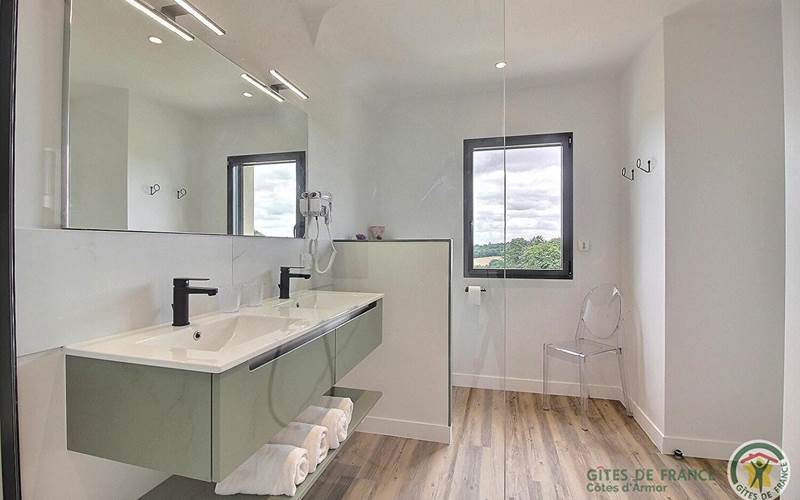 chambre Emeraude salle d'eau