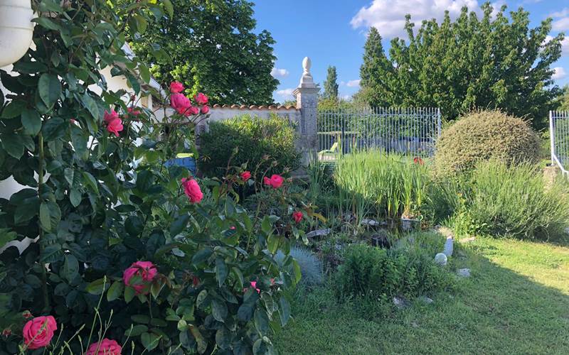 Vue du jardin