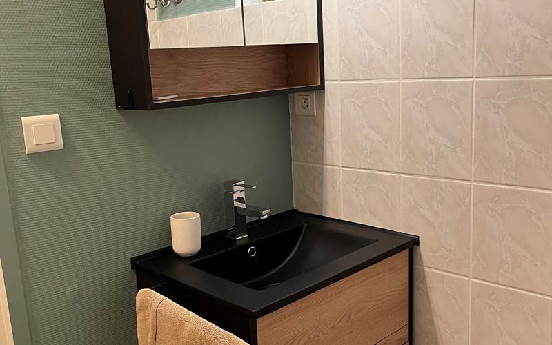 HUPPEfasciee_SALLEesau2