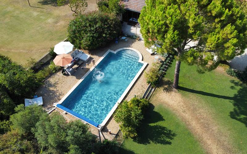 La piscine au mileu de la végétation