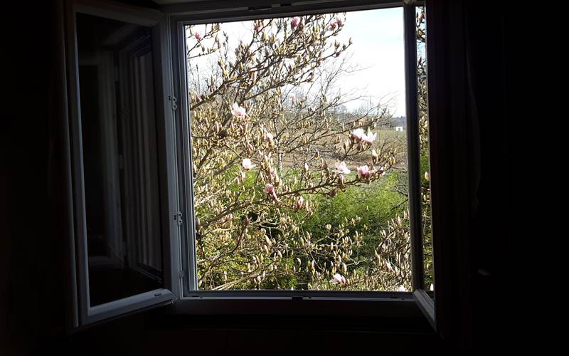 Pont de vue depuis la chambre