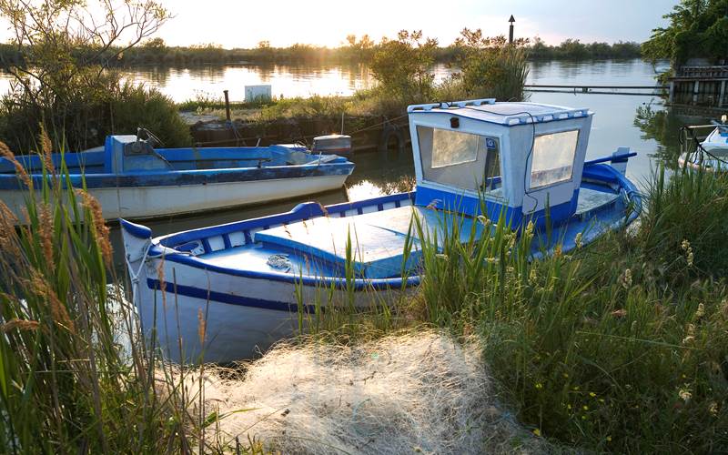 154771787-photo-around