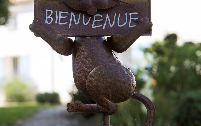 Chat de bienvenue