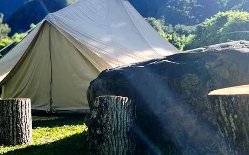 dc6cee0b-2d81-40cd-9fed-827af1da9cb7-_1__1