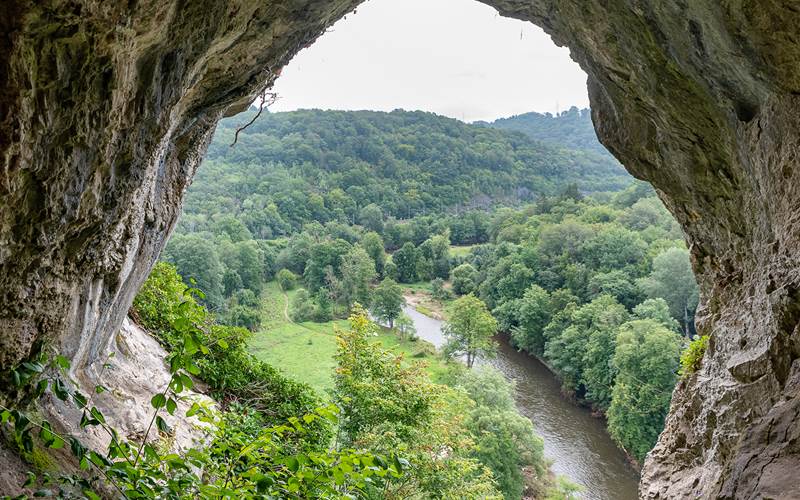 Reserve-naturelle-de-Furfooz--Trou-du-Grand-duc--Christophe-Danaux-2021-010-photo-around