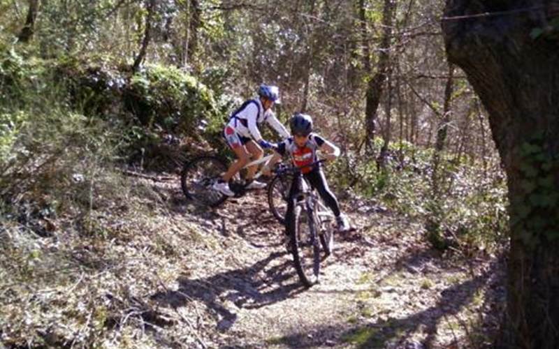 8f5b0d8d-5dfd-4d9c-a5ac-b32ca3c5b193-photo-around