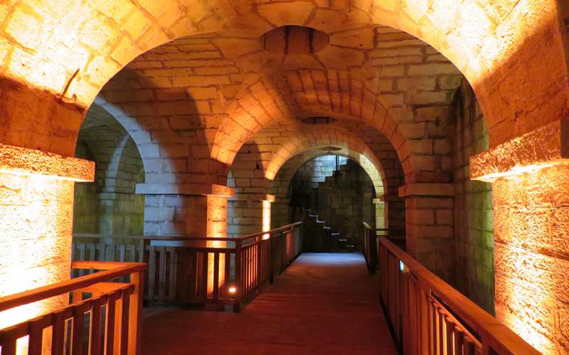 La Crypte du Bayaà Salies de Béarn-photo-around