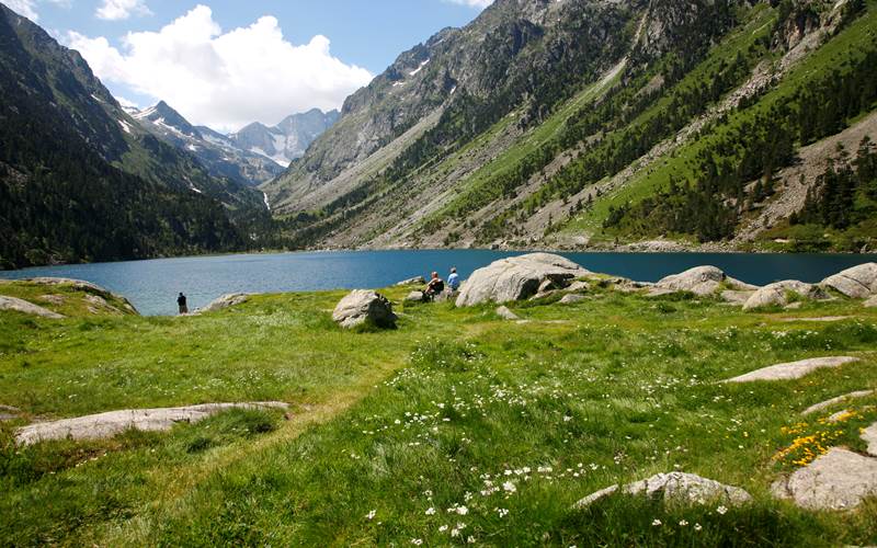 140349733-photo-around