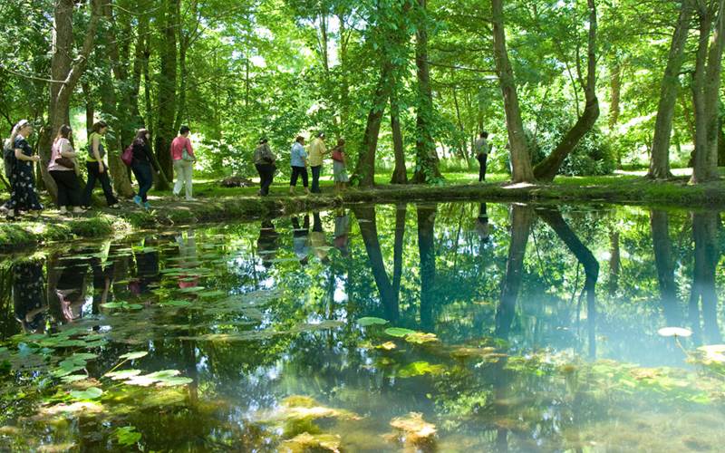 randonneurs-fontaines-nenuphars-photo-around