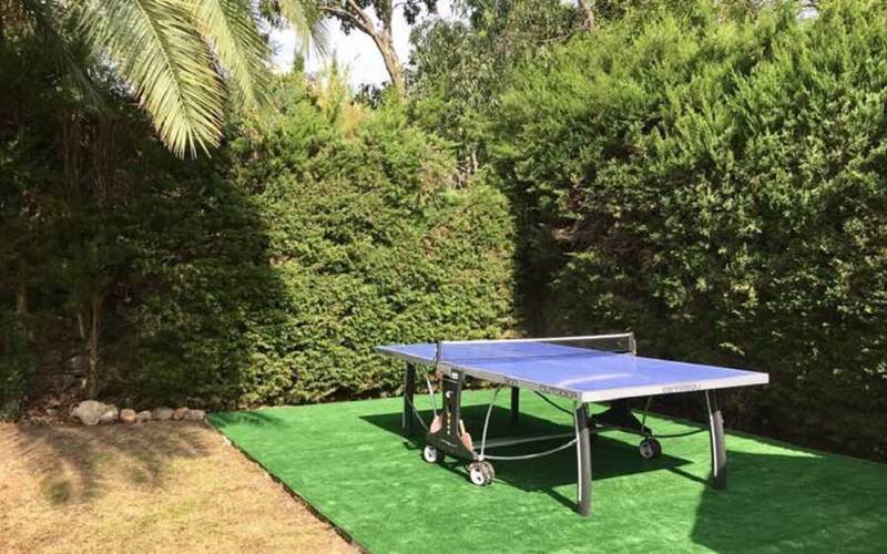 pingpong_0