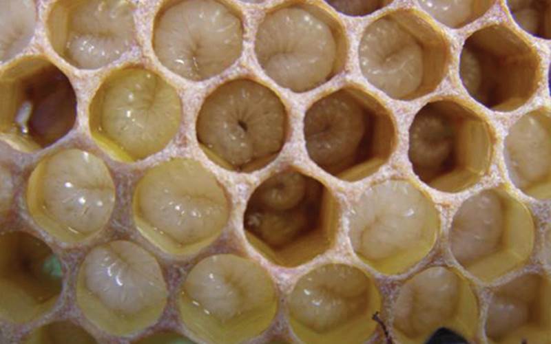 9302697d-5d8d-4740-badd-22e4e6cb04ca-photo-around