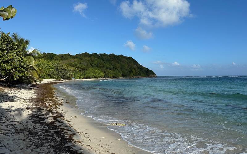 Iguane House villas & Micro Spa randonnée littorale depuis la villa Lagon