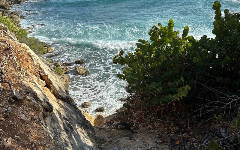 Iguane House villas & Micro Spa randonnée littorale depuis la villa Lagon