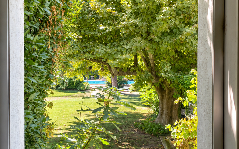 "Depuis la chambre, le regard s'ouvre sur le jardin arboré et la piscine du Mas"