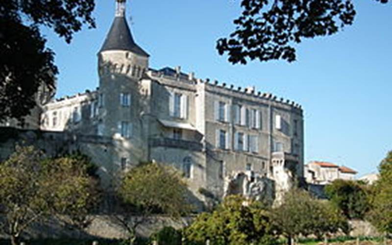 972cbca3-85f4-44b3-9b37-69abae80696a-photo-around