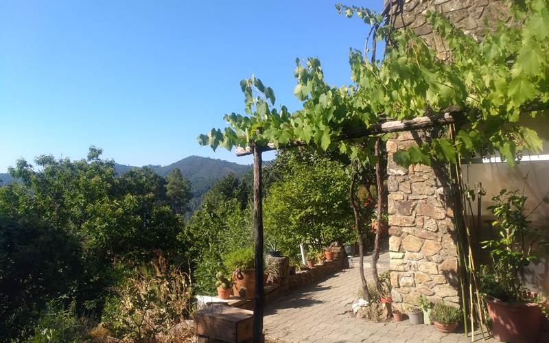Le Jardin