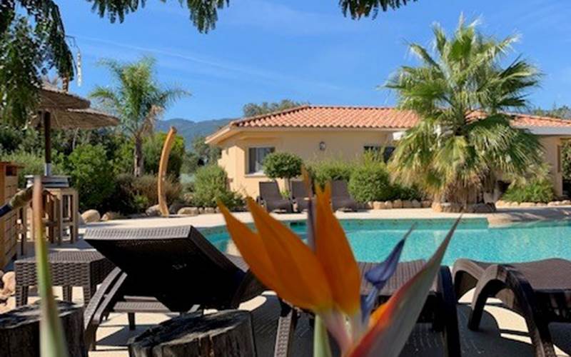 Gîte-de-luxe-Corse-vacances