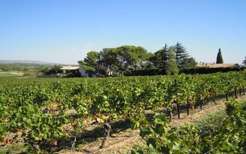 Mas de Bayle et Vignes