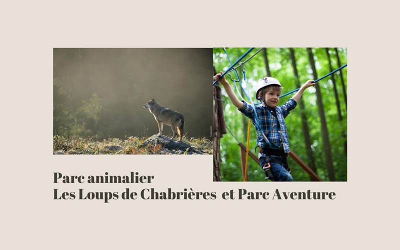 Parc-animalier-Les-Loups-de-Chabrieres-et-Parc-Aventure2-photo-around