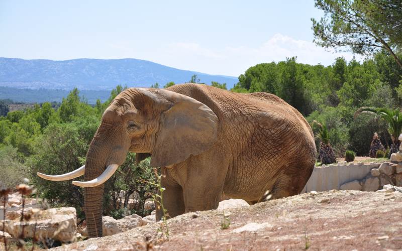 516033667 (1)-photo-around