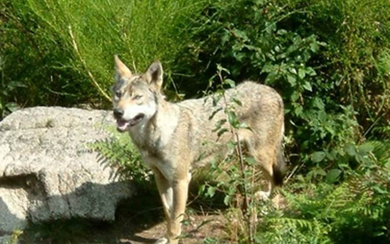 Photo-1-d-appel_tourime_limousin_diapo_750-photo-around