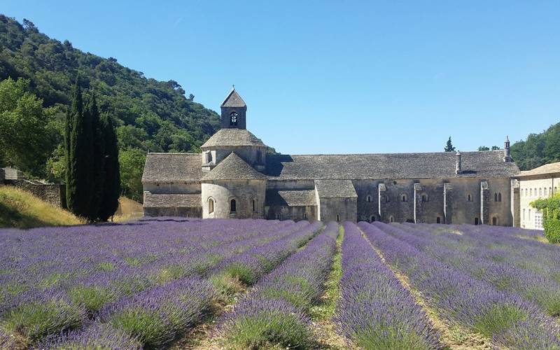 abbaye-5199856_1280