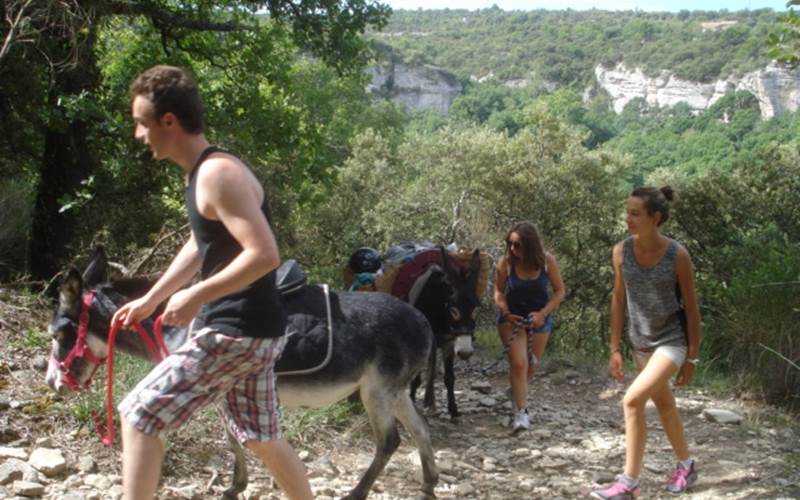 a2915752-6761-4e28-8b8e-b2c9d61de8f0-photo-around