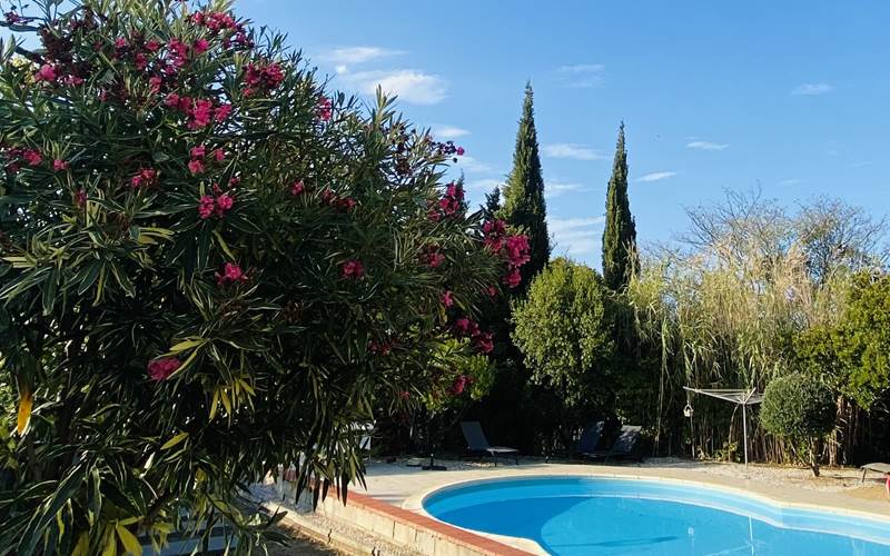 Mas Canigou+Albères piscine et lauriers-