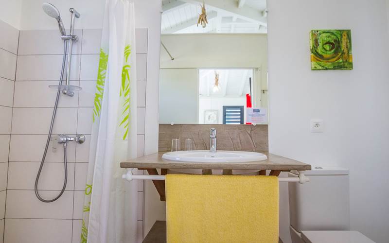 Iguane House villas & Micro Spa Villa Corail salle de douche