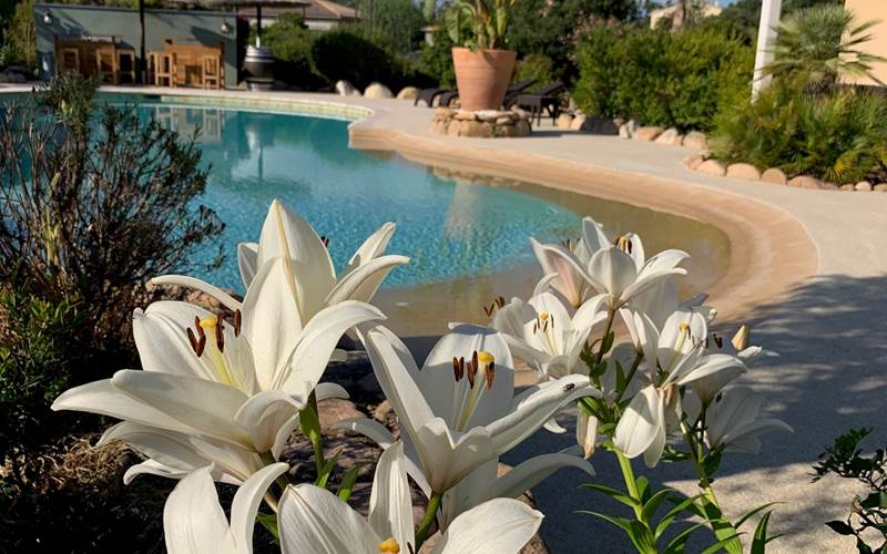 Location-vacances-Padulella-Corse