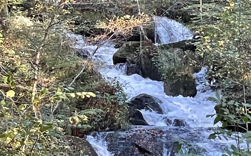 Domaine Pâquerettes et Pissenlits cascades d' Augerolles