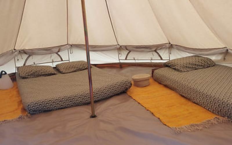 2089fe_1f9a3e6654e047e39e272aba4c462881~mv2