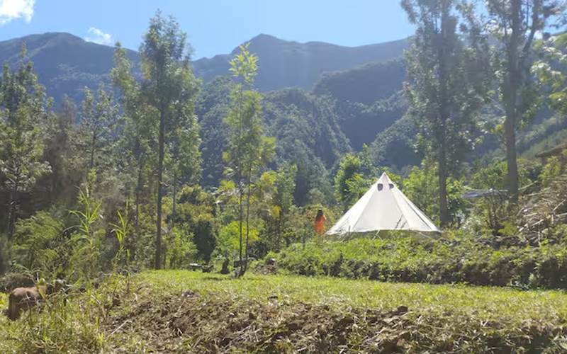 6c97b588-2c61-4ac4-918b-72f7e68c4cef