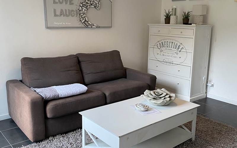 salon lit convertible