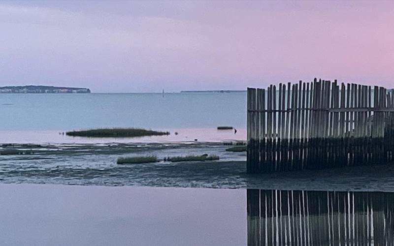 bassin-d-arcachon (1)
