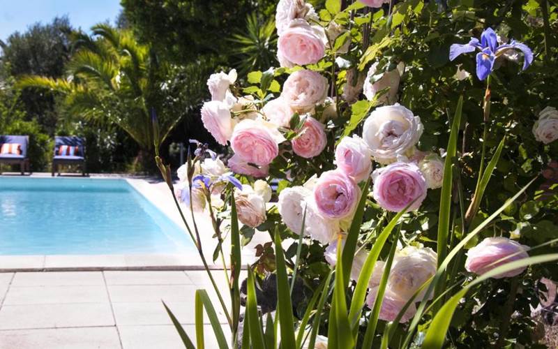 Cocon fleuri...