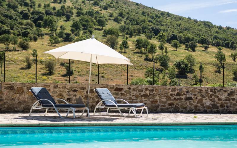 La piscine dans un cadre calme, avec transats et grande terrasse