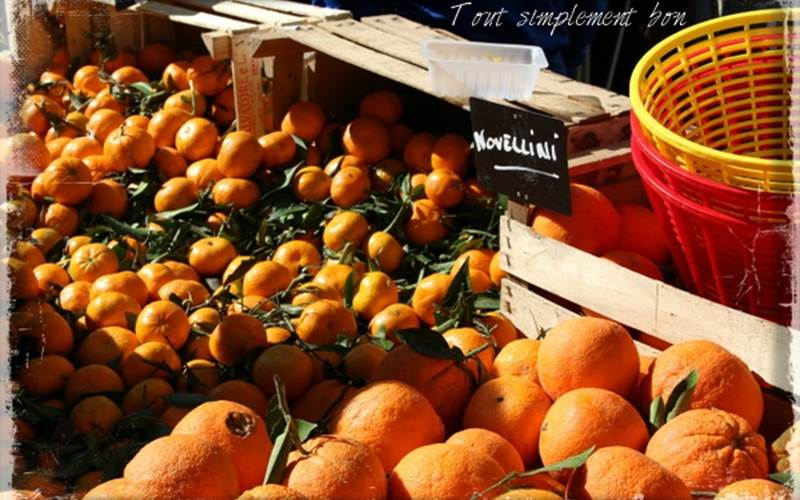 c0b52691-81b1-432e-b27a-f8b51e72d898-photo-around