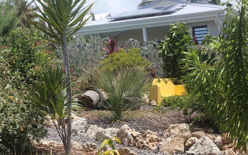 Iguane House villas & Micro Spa Villa Corail vue depuis le jardin paysagé