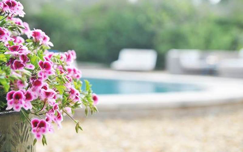 Marion 2 dsc3001 (1)