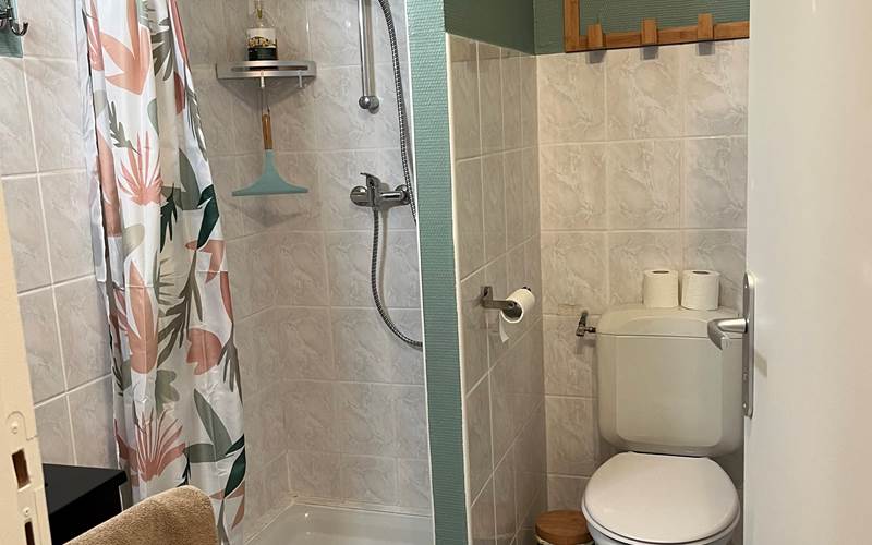 HUPPEfasciee_SALLEeau